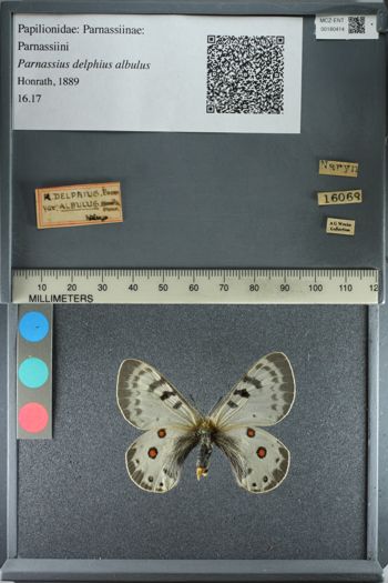 Media type: image;   Entomology 180414